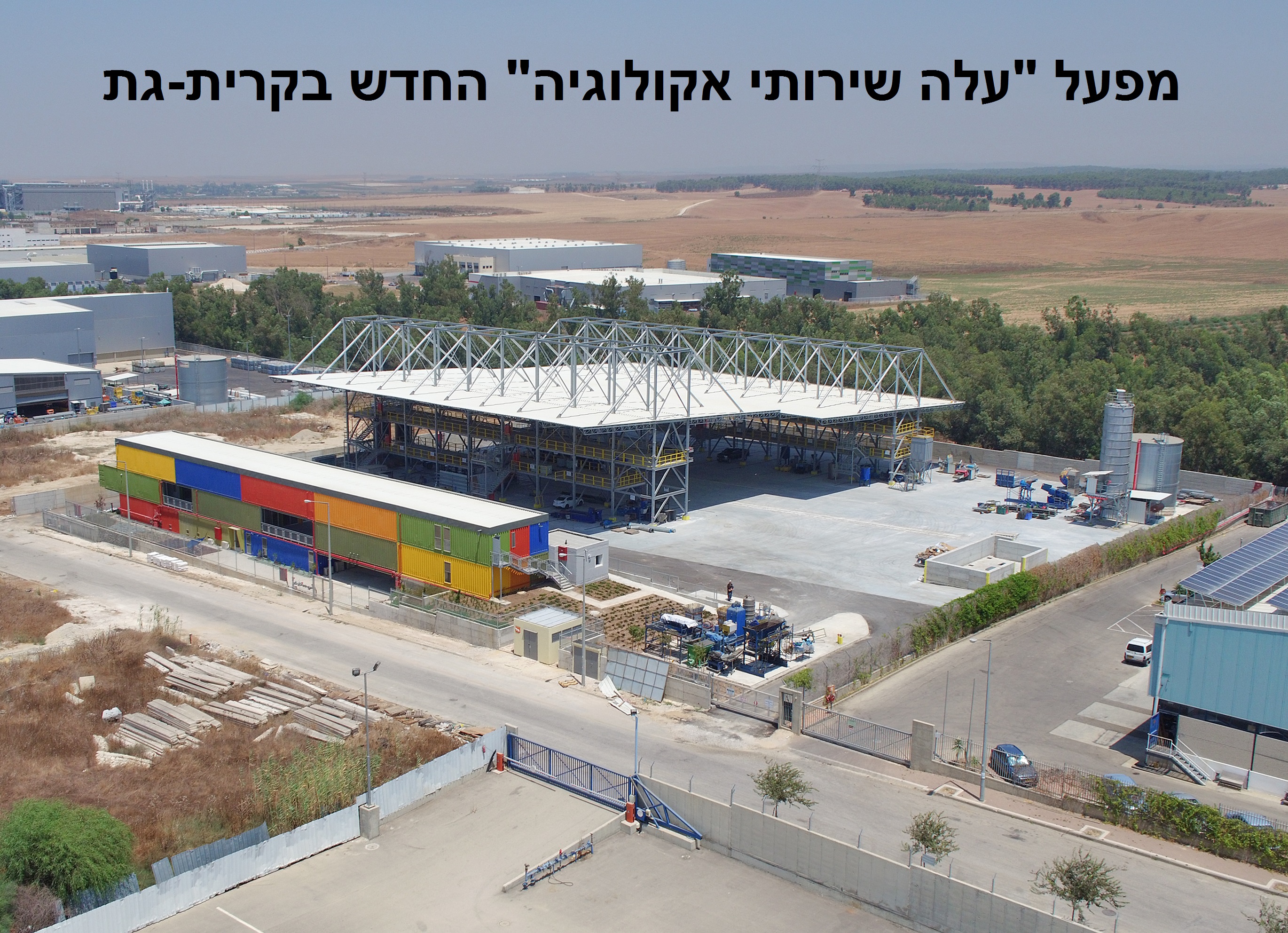 אלכס